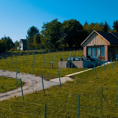 Apartment Kispince Wellness Borbirtok *