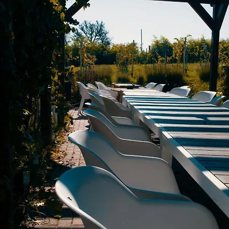 Kispince Wellness Borbirtok *